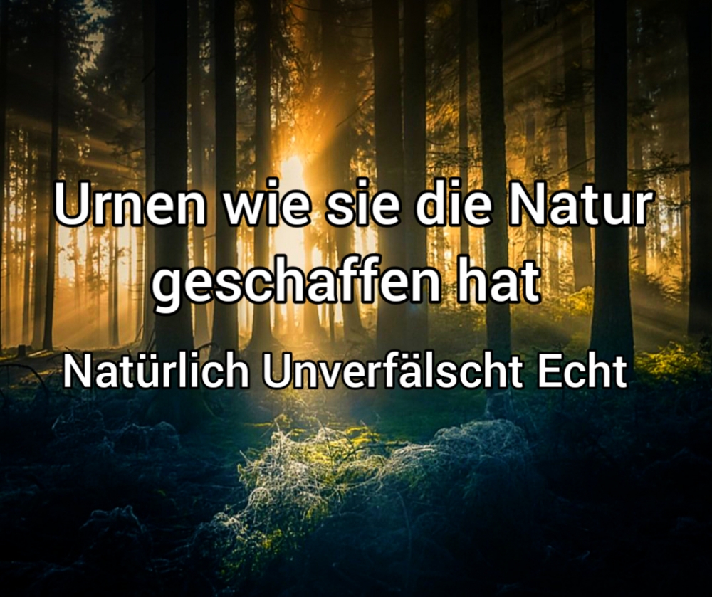 Bild 1 von Naturholz Klein Urne - Tanne s02 - ca.170ml - für alle Bestattungsarten