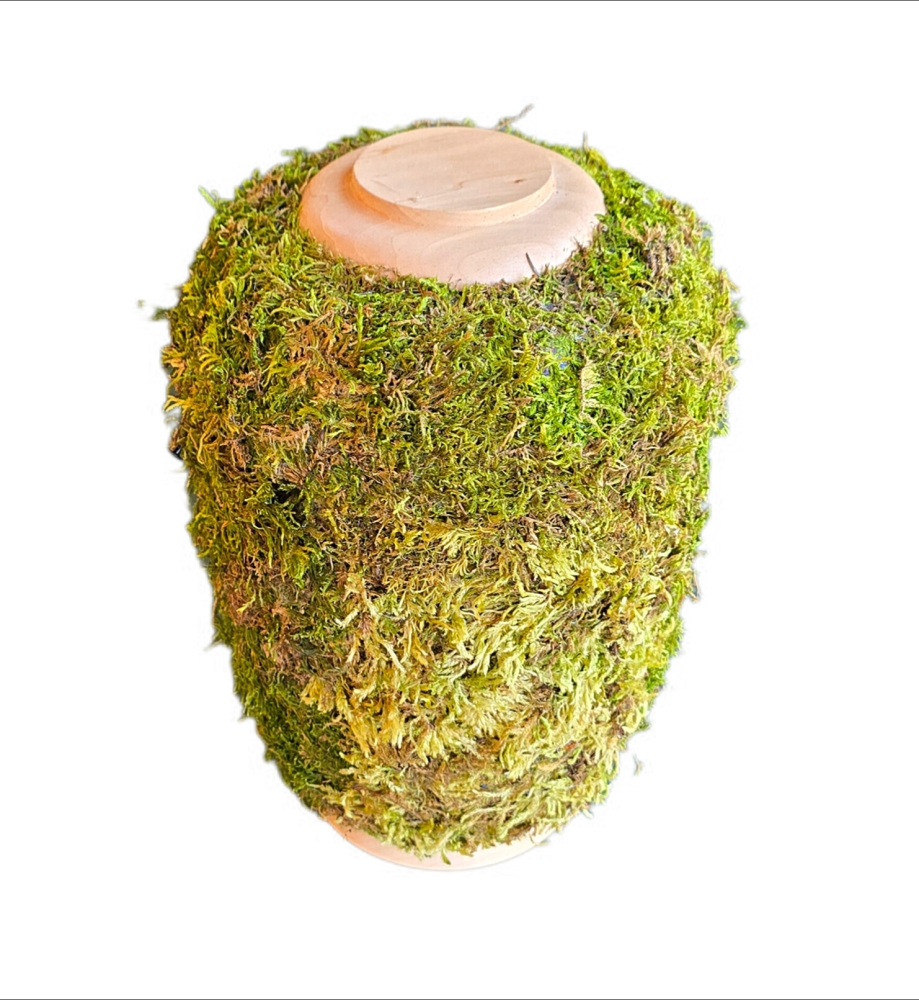 Bild 1 von Naturstoff Urne mit Moos und Holz -  s02 - für alle Bestattungsarten